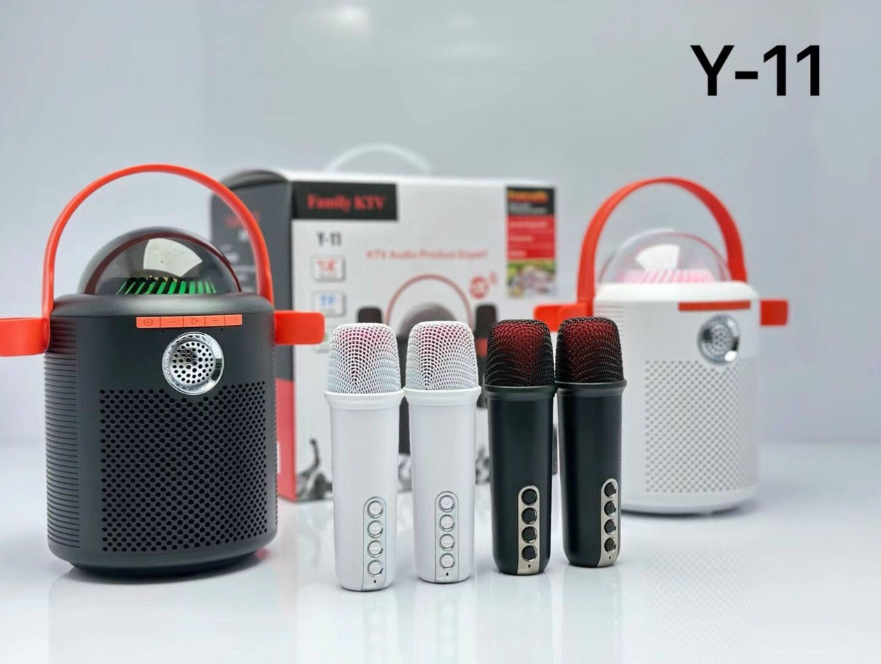 Loa Bluetooth Ktv Y-11  Kèm 2 Micro Sang Trọng Có Led