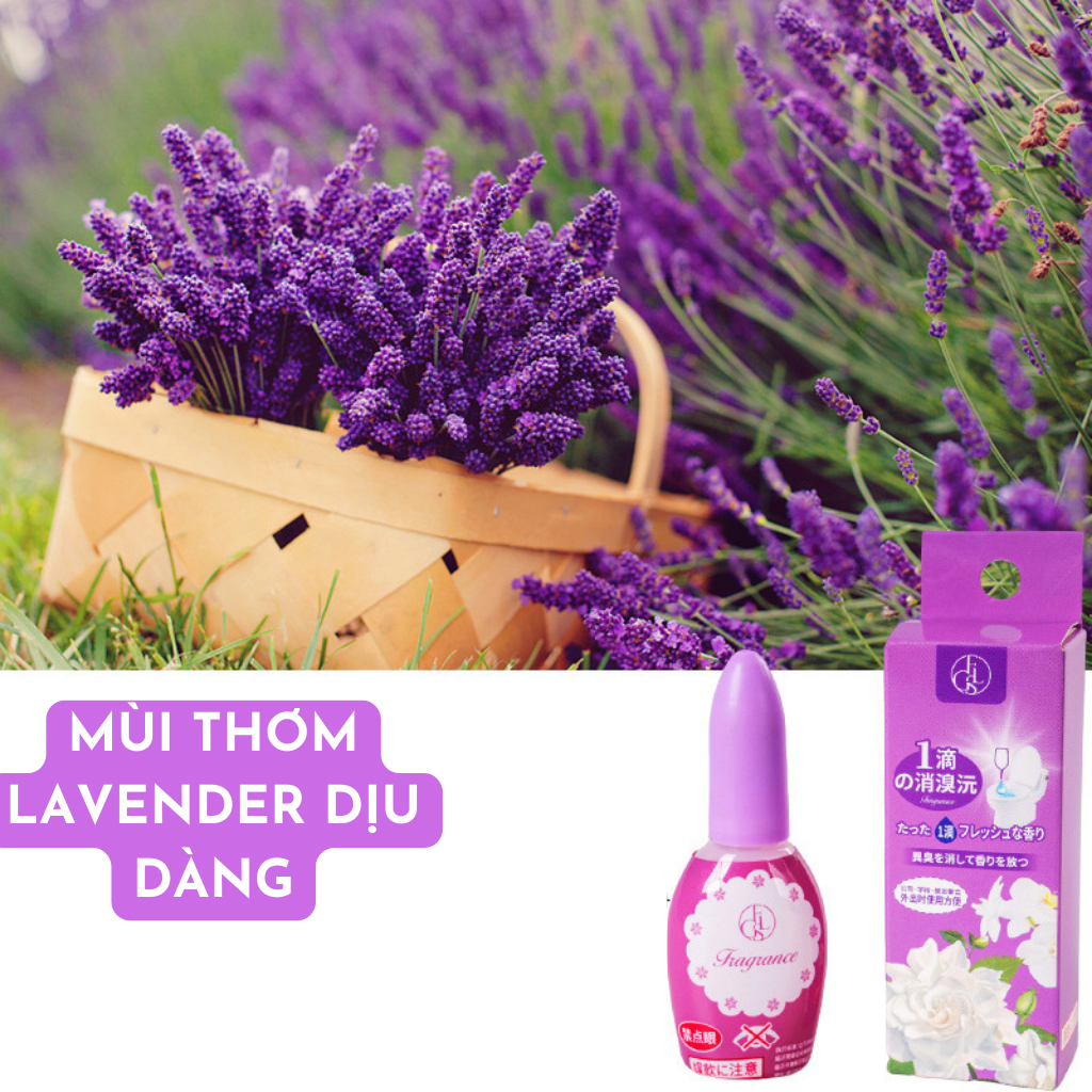 Dung Dịch Tinh Dầu Nhật Bản Làm Thơm Bồn Cầu Hương Tự Nhiên 20Ml