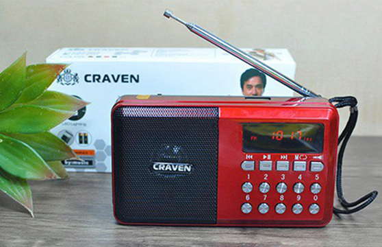 Loa Nghe Nhạc Usb Thẻ Nhớ Fm Craven Cr-65 Có Đèn Pin Siêu Sáng