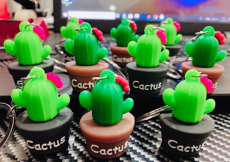 Móc Khóa Cactus Hình Xương Rồng