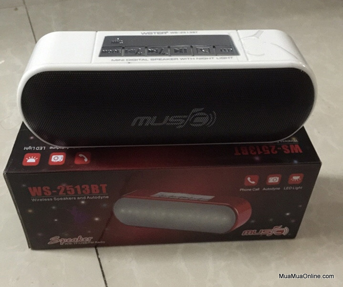 Loa Nghe Nhạc Bluetooth Ws-2513Bt