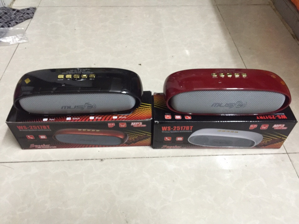 Loa Nghe Nhạc Bluetooth Ws 2517 Nghe Hay