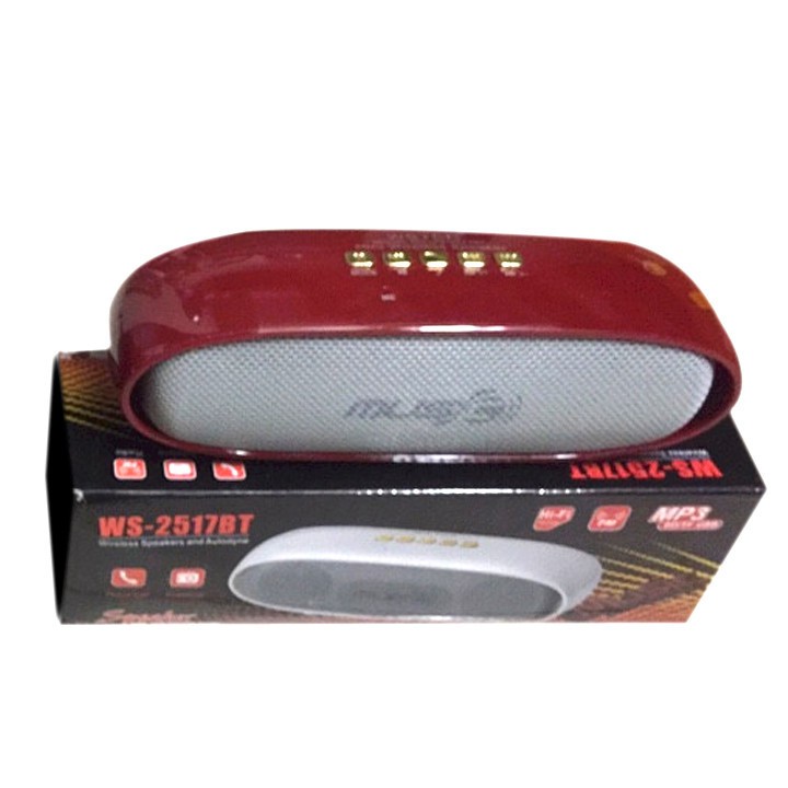 Loa Nghe Nhạc Bluetooth Ws 2517 Nghe Hay